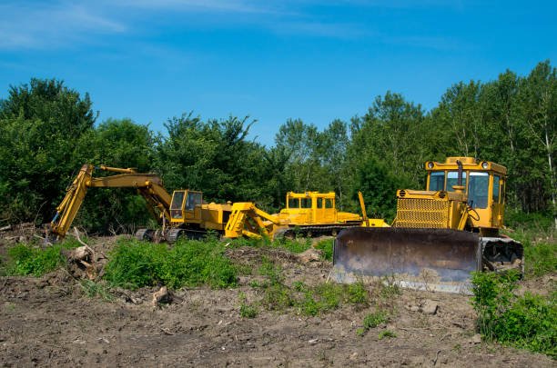 Land clearing services in Palm Beach - preparing your property for development.